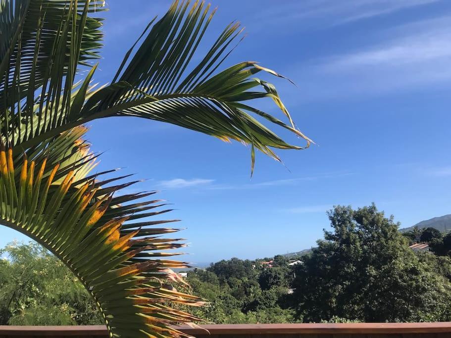Cocooning Tropic Studio Avec Jacuzzi Privatif Saint-Louis Zewnętrze zdjęcie
